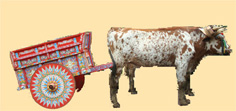 charrette-boeuf