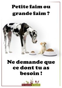 Affiches anti gaspillage alimentaire