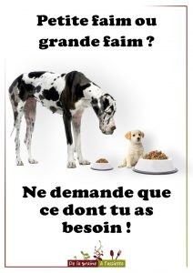 Affiches anti gaspillage alimentaire