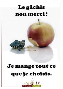 Affiches anti gaspillage alimentaire