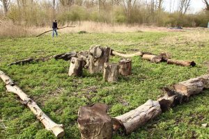 Délimitation de la Forêt