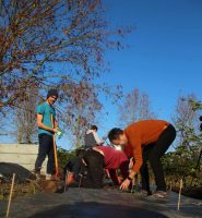 Foret Comestible Amiens