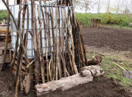 Foret Comestible Amiens