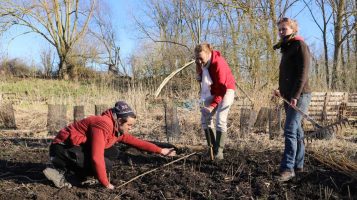 Hutte de sudation en saule - mars-2022