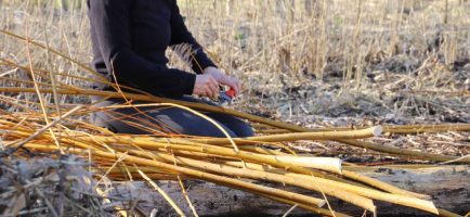 hutte de sudation en saule - mars-2022