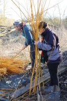 Hutte de sudation en saule - mars-2022