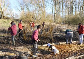 Hutte de sudation en saule - mars-2022